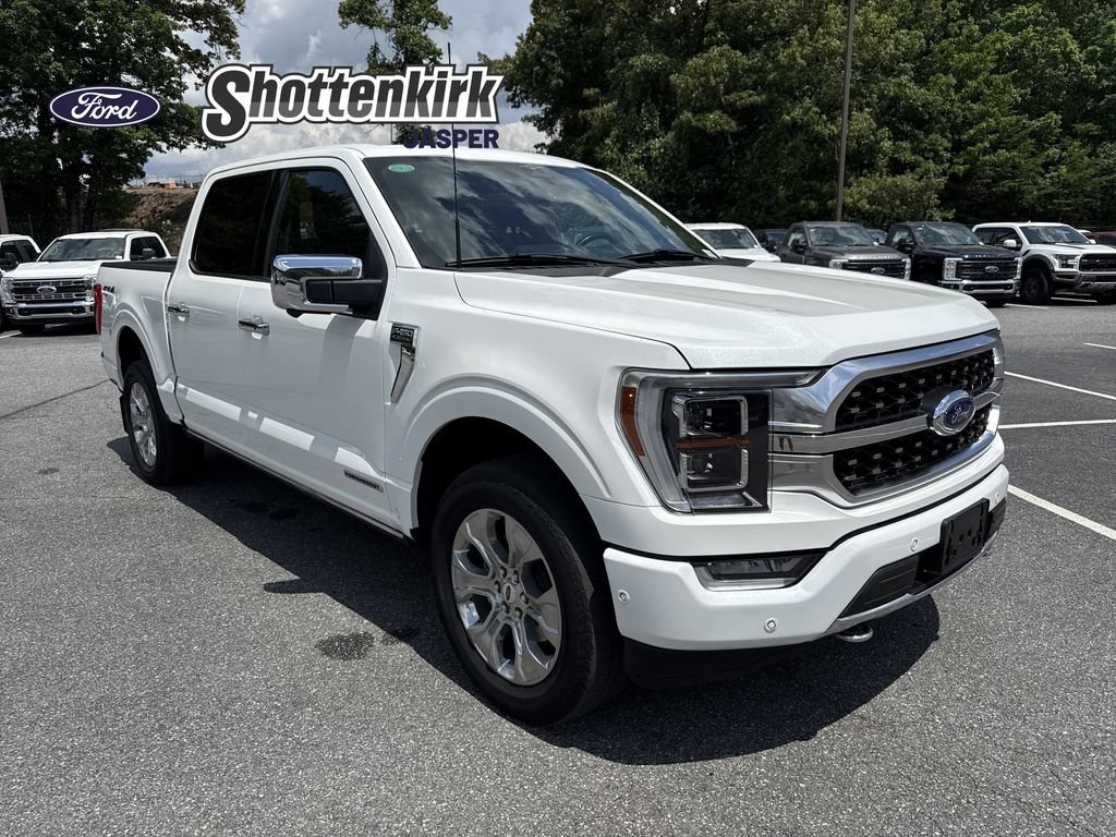 Used 2023 Ford F150 Platinum w/ Equipment Group 701A High