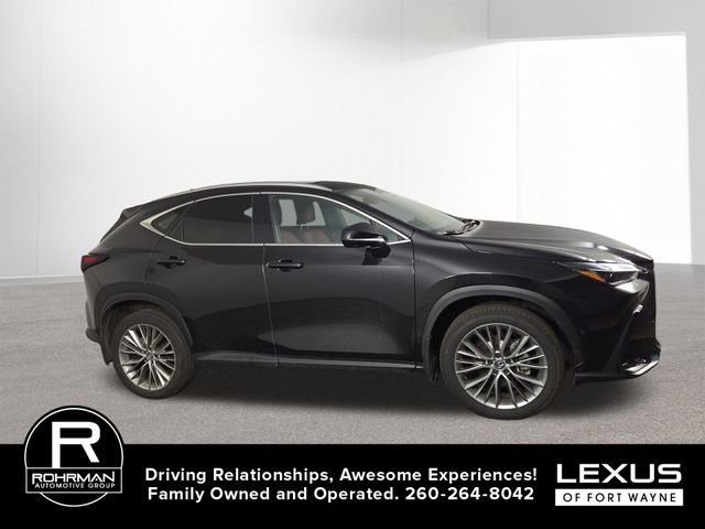 Certified 2025 Lexus NX 350 AWD w/ Luxury Package image 5