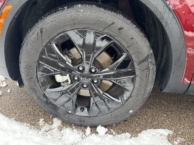 Used 2025 Kia Sportage X-Line image 9