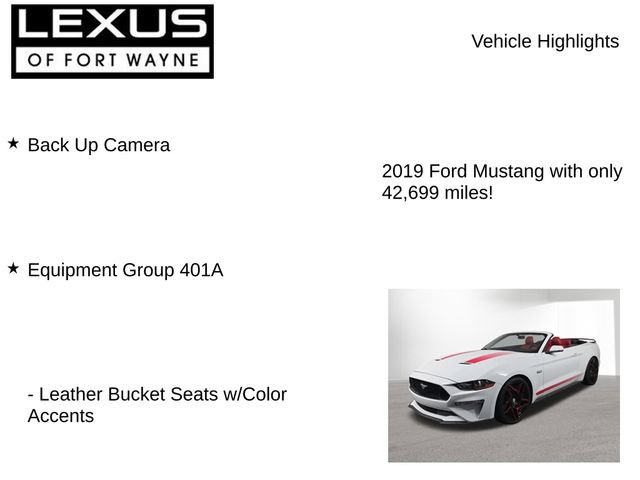 Used 2019 Ford Mustang GT Premium w/ Equipment Group 401A RWD image 7