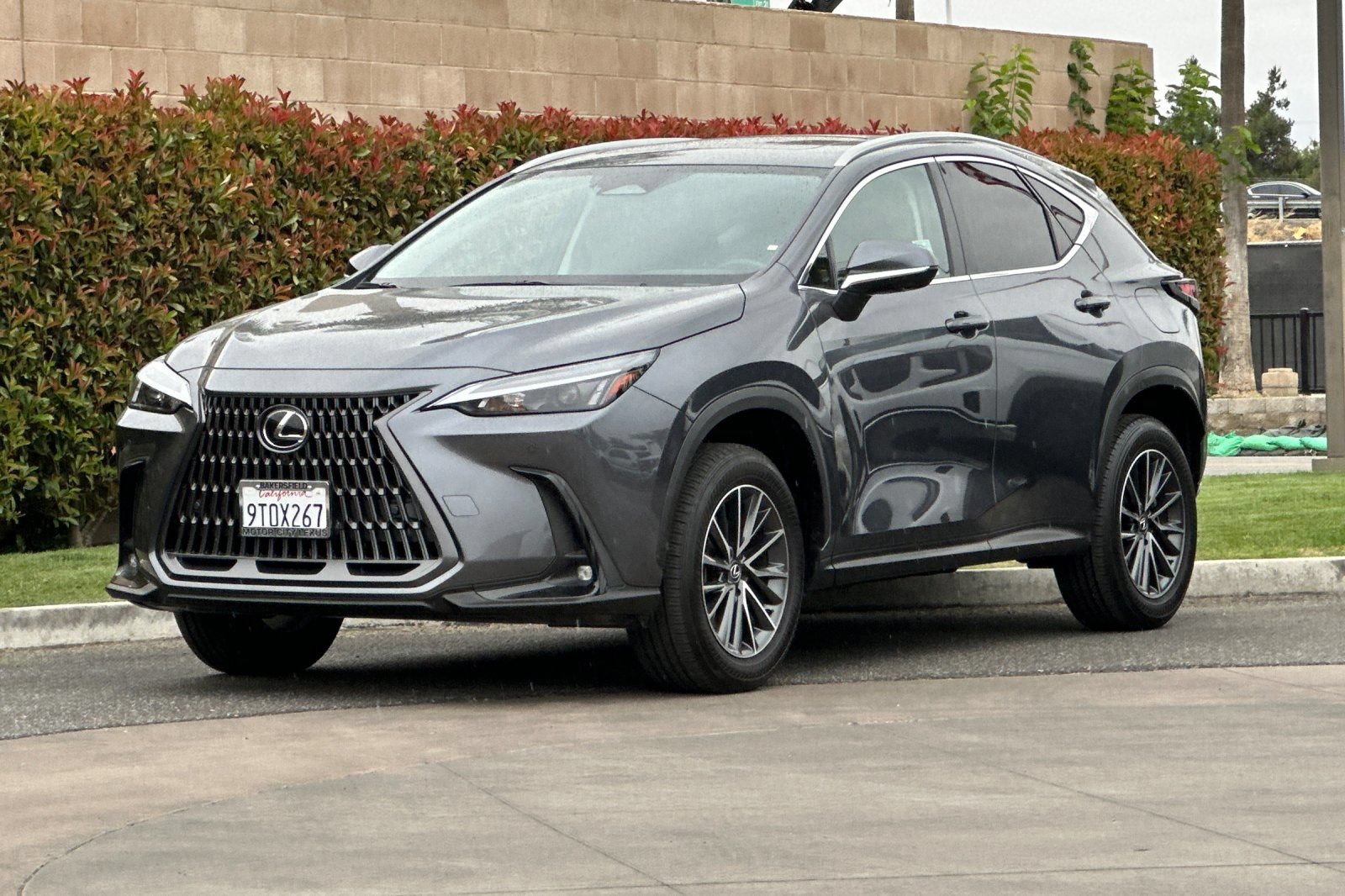 Certified 2025 Lexus NX 350h AWD w/ Cold Area Package image 8