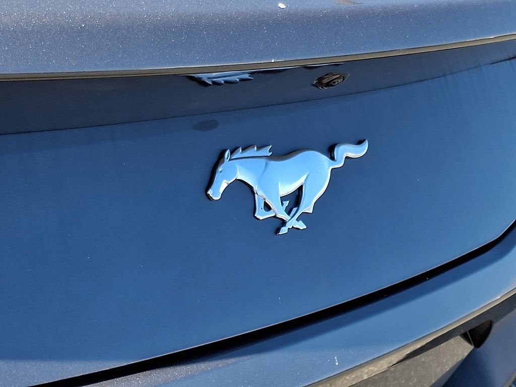 New 2025 Ford Mustang EcoBoost image 15