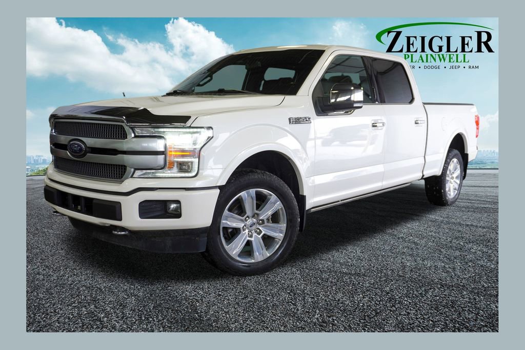 Used 2019 Ford F150 Platinum video 1