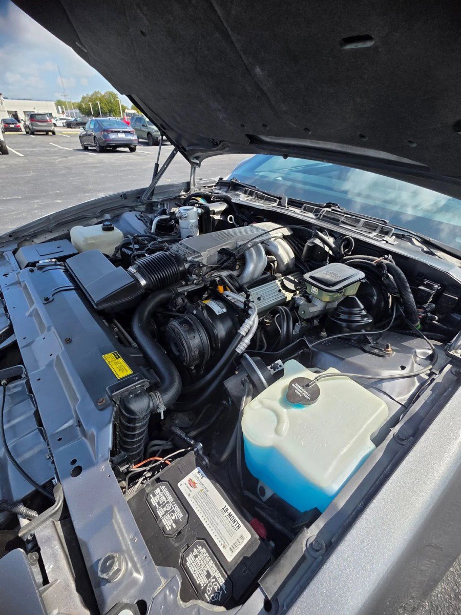 Used 1987 Pontiac Firebird Trans Am RWD image 55