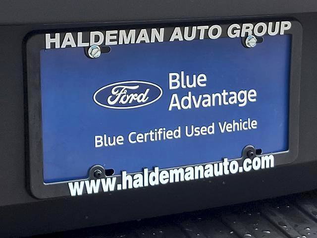 Certified 2025 Ford Transit 250 Low Roof w/ Exterior Upgrade Package RWD image 30