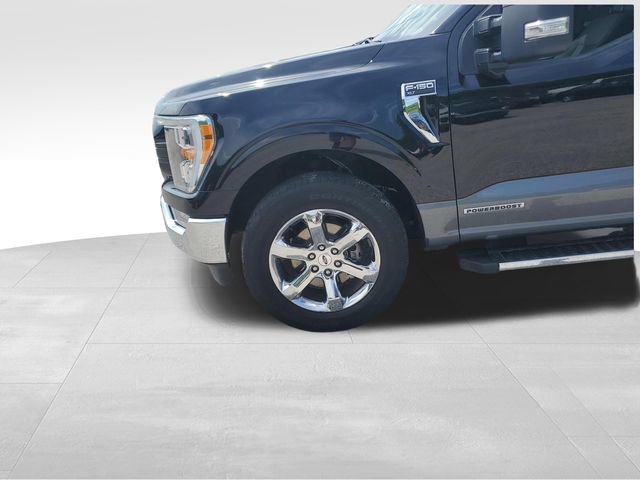 Used 2021 Ford F150 XLT w/ Equipment Group 302A High AWD/4WD image 8