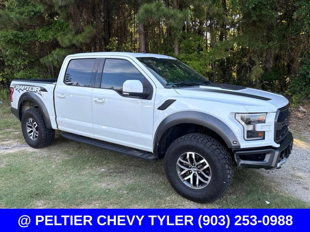 Used 2018 Ford F150 Raptor w/ Equipment Group 802A Luxury AWD/4WD image 1