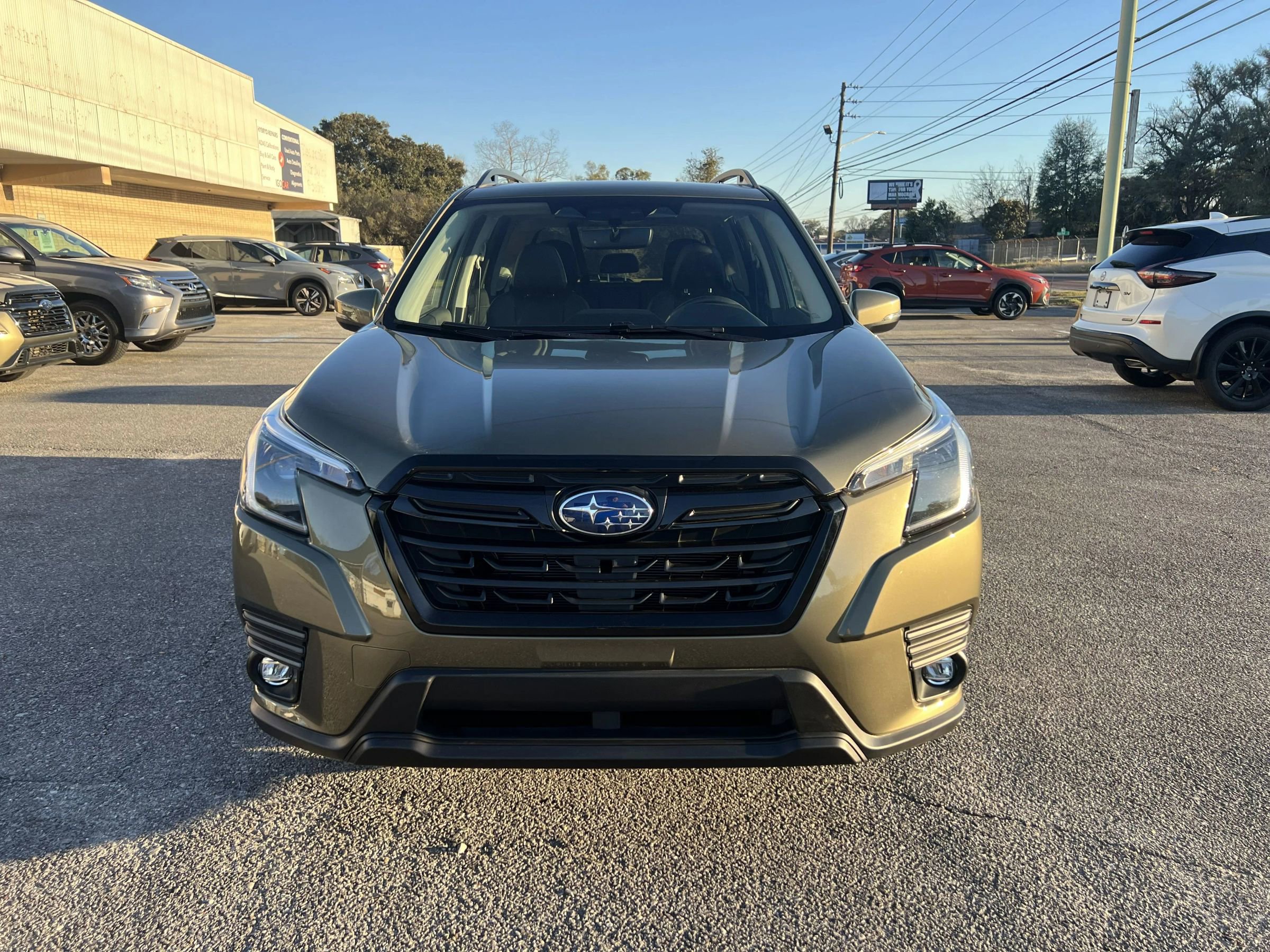 Used 2024 Subaru Forester Limited image 3