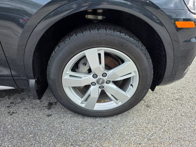 Used 2019 Audi Q5 2.0T Premium Plus w/ Premium Plus Package AWD/4WD image 13