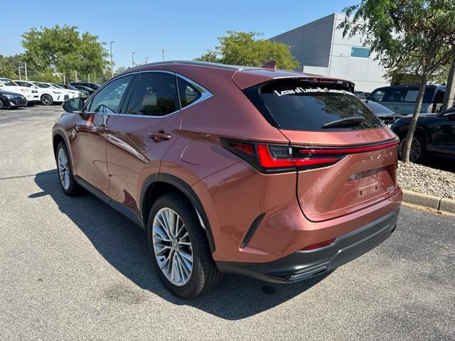 Used 2025 Lexus NX 350 AWD w/ Cold Area Package image 5