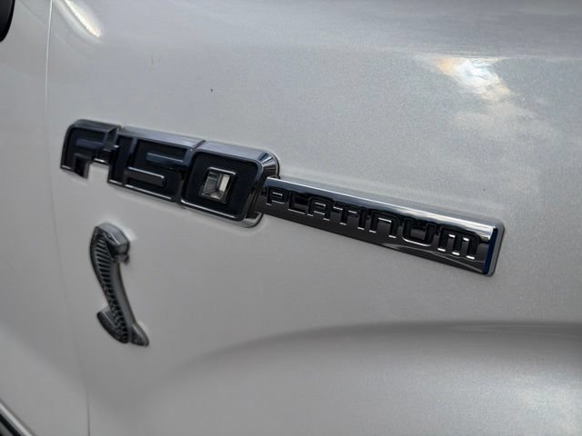 Used 2010 Ford F150 Platinum AWD/4WD image 5