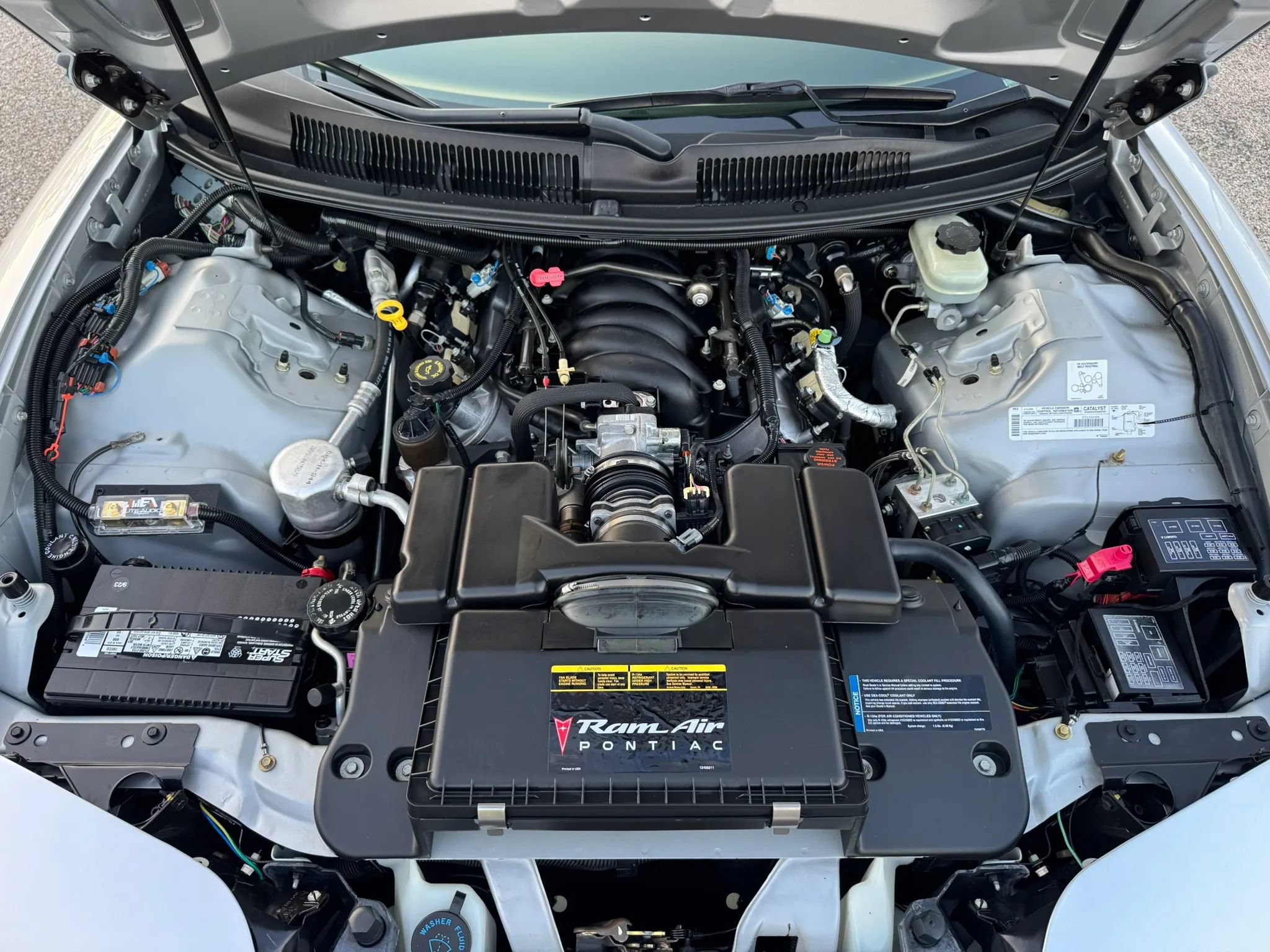 Used 2000 Pontiac Firebird Trans Am RWD image 45