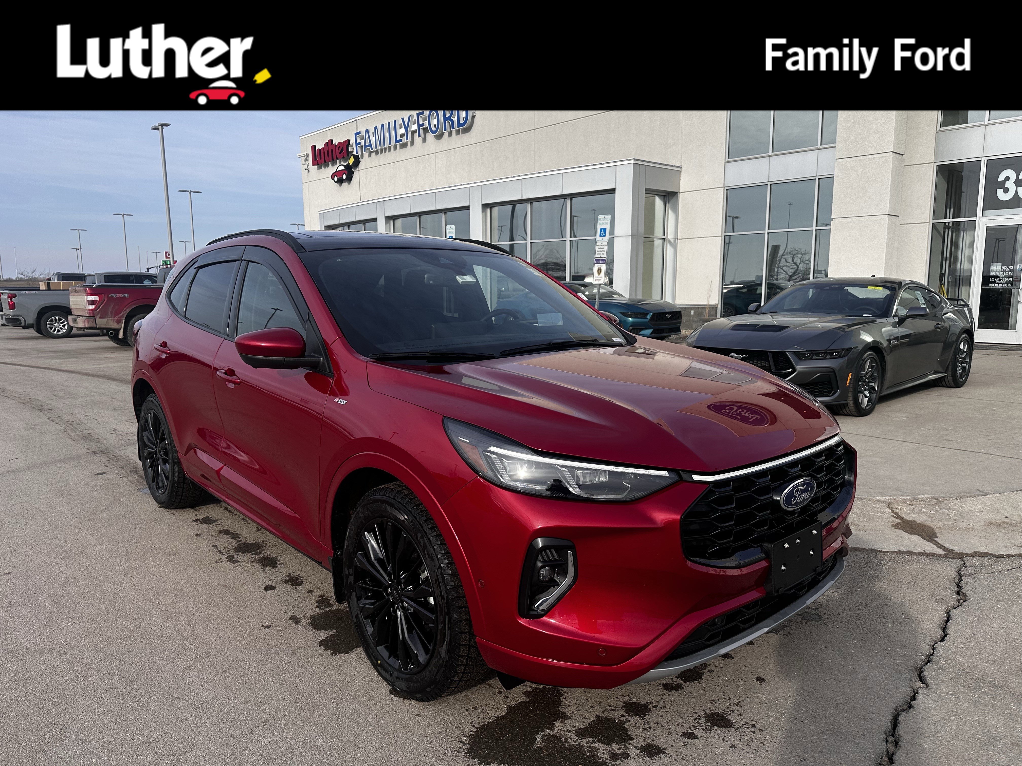 Used 2023 Ford Escape ST-Line Elite w/ Premium Technology Package image 1