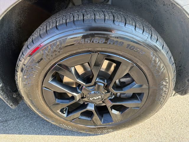 Used 2023 Kia Telluride SX Prestige X-Line image 12