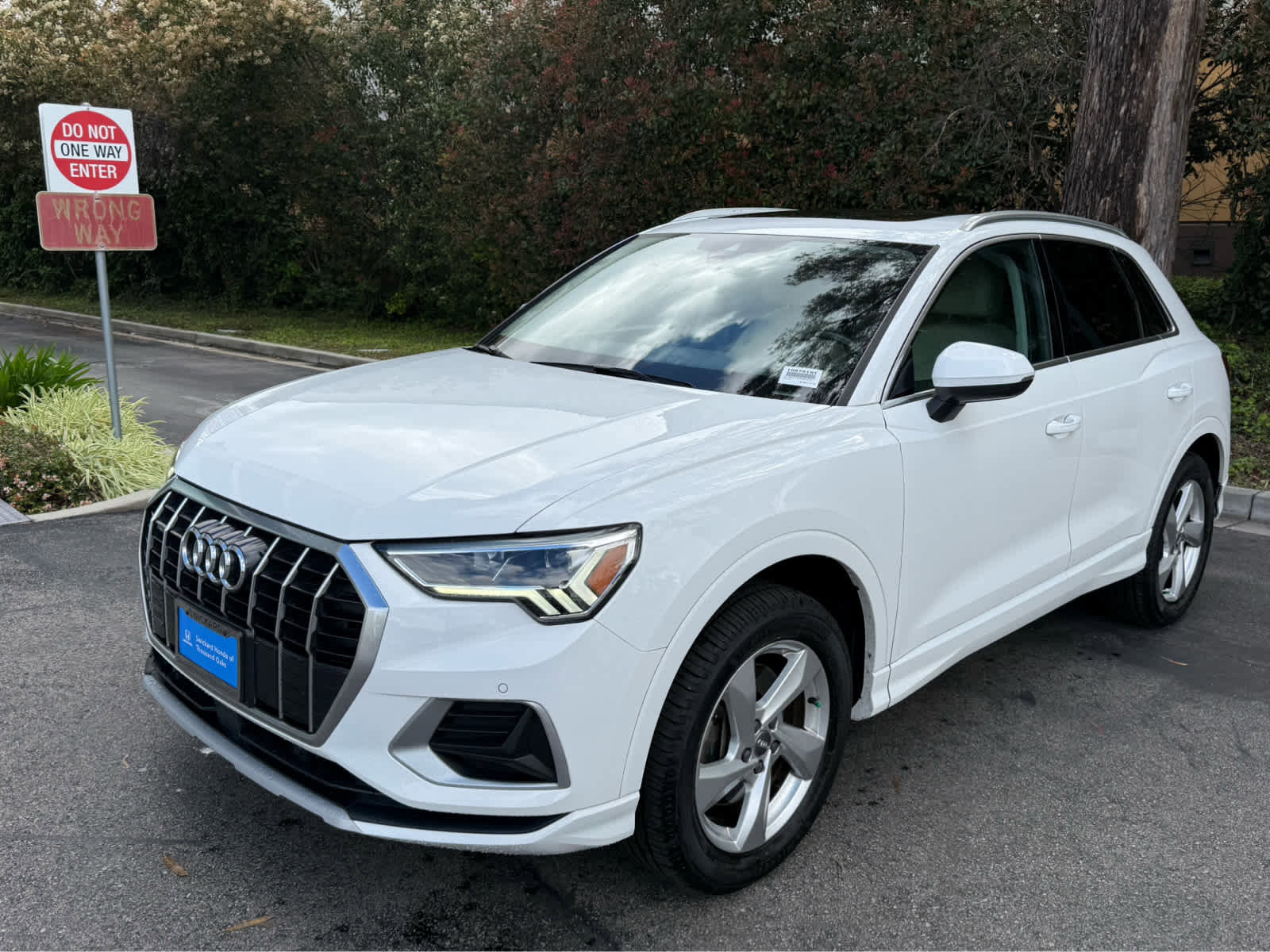 Used 2019 Audi Q3 2.0T Premium Plus w/ Premium Plus Package image 2