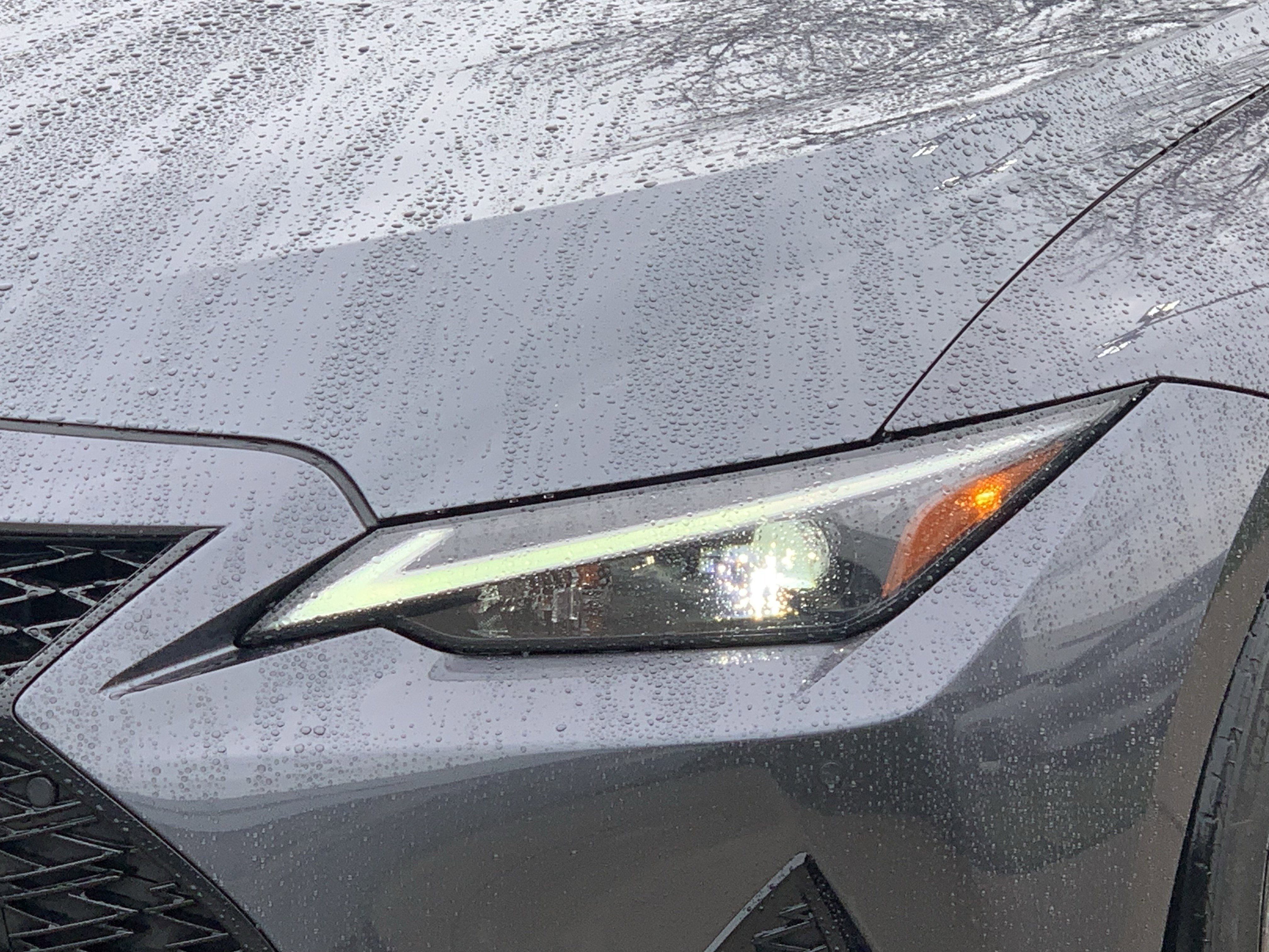 Certified 2024 Lexus IS 350 F Sport w/ Navigation Package image 6