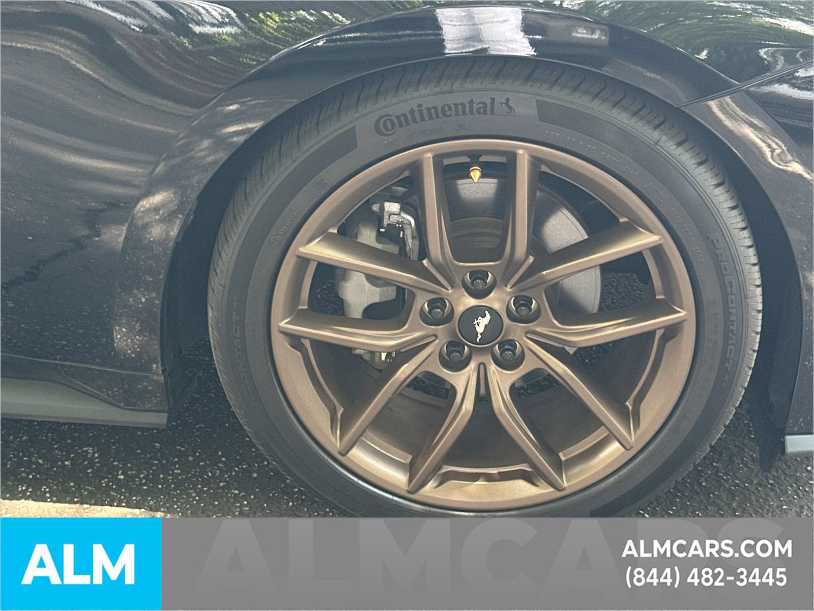 Used 2024 Ford Mustang Premium RWD image 14