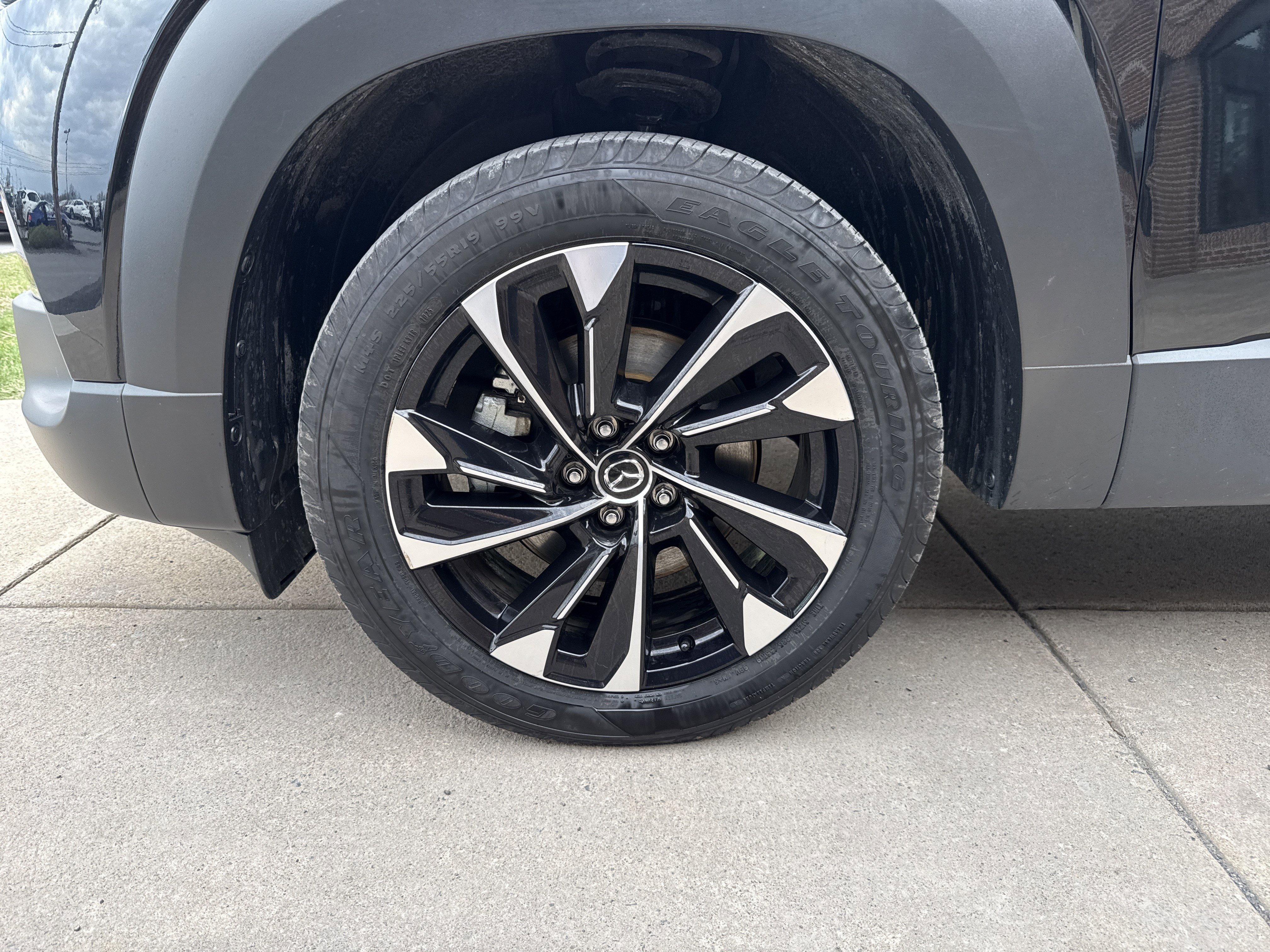 Certified 2025 MAZDA CX-50 2.5 Hybrid w/ Premium Plus Pkg image 11