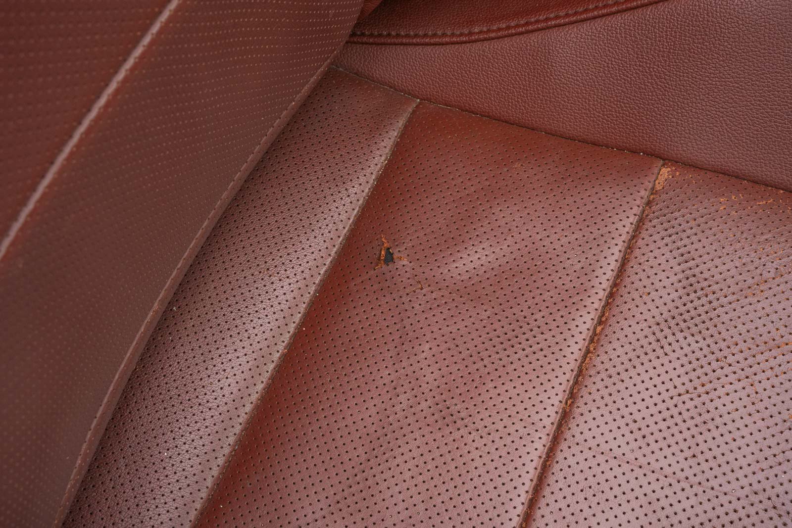 Used 2016 Ford Mustang Premium RWD image 17