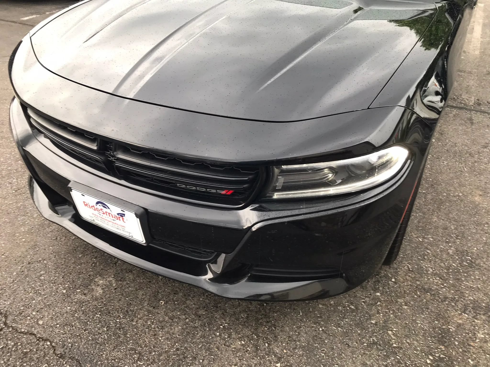 Used 2019 Dodge Charger SXT AWD/4WD image 54