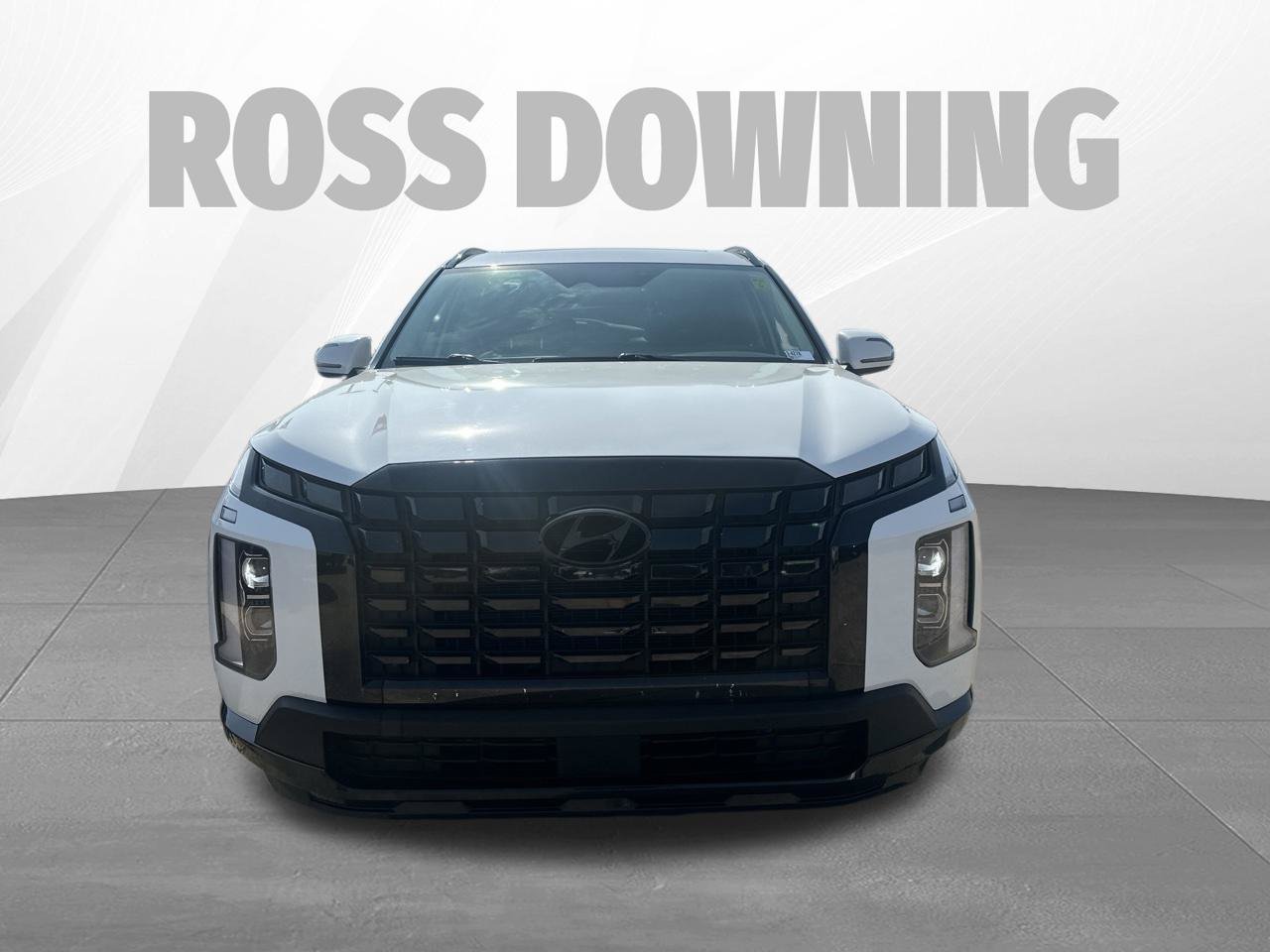 Used 2024 Hyundai Palisade XRT FWD image 2
