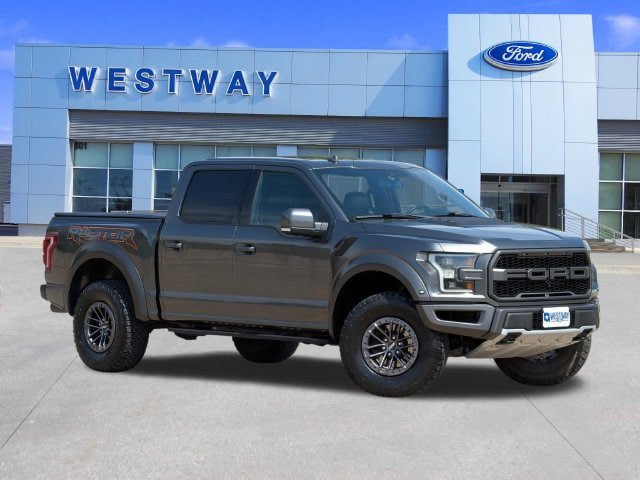 Used 2019 Ford F150 Raptor w/ Equipment Group 802A Luxury AWD/4WD image 1