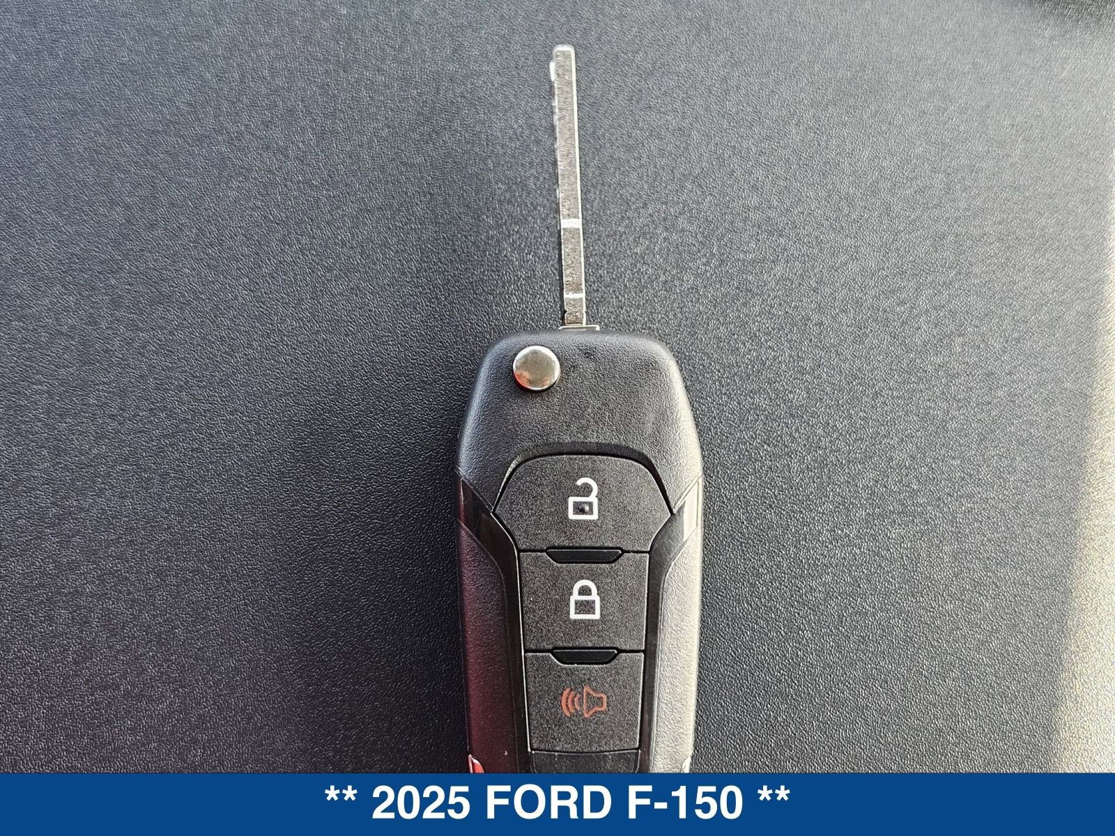 New 2025 Ford F150 XL w/ Equipment Group 103A High image 31