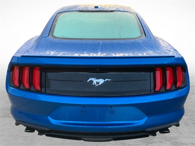 Used 2019 Ford Mustang Premium w/ Equipment Group 201A RWD image 3