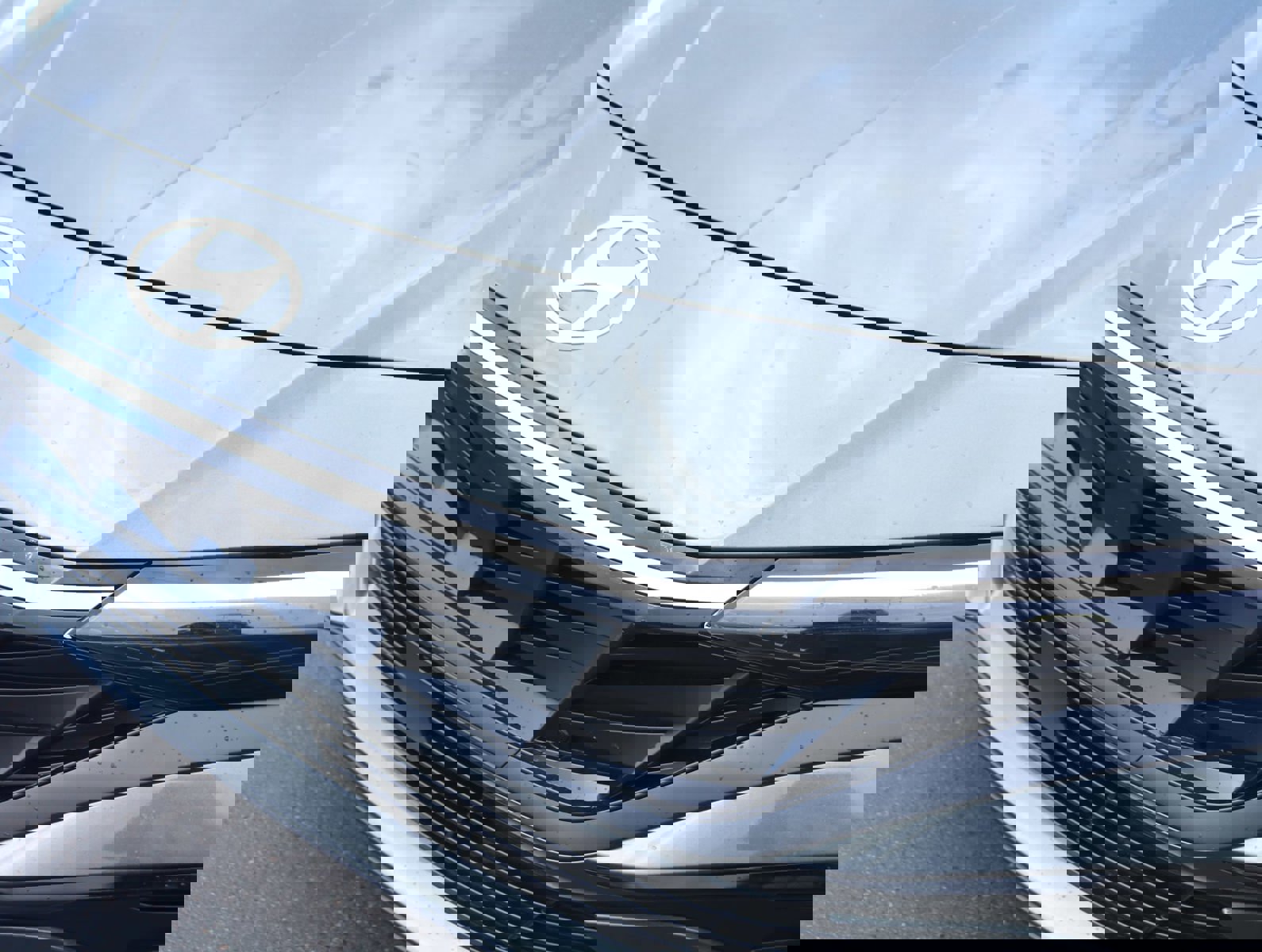 New 2025 Hyundai Elantra Limited image 10