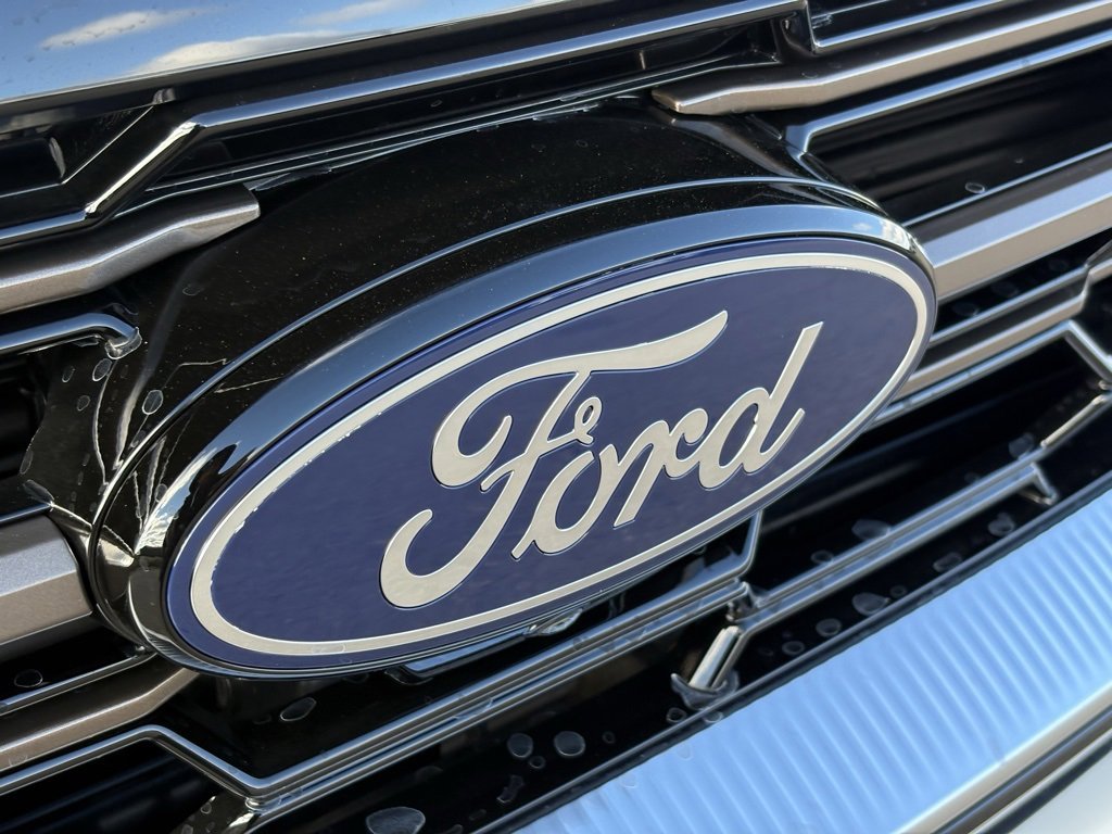 New 2025 Ford Expedition King Ranch image 9