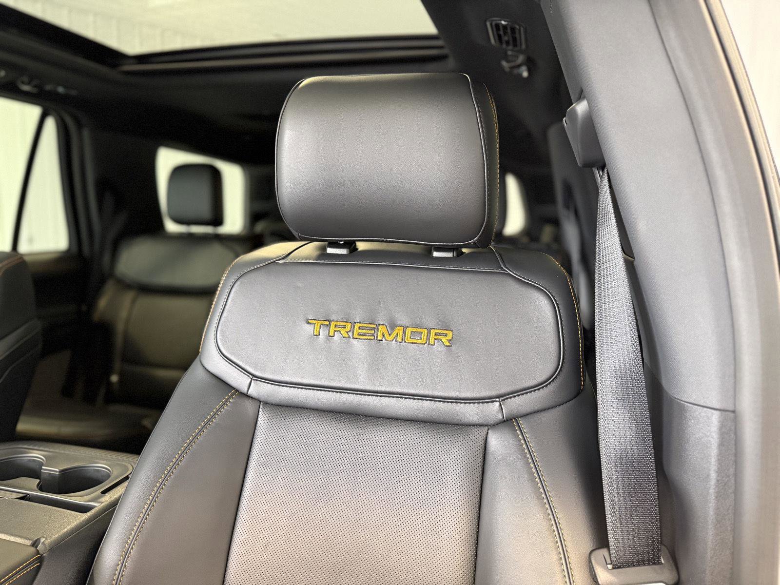 New 2025 Ford Expedition Tremor AWD/4WD image 28