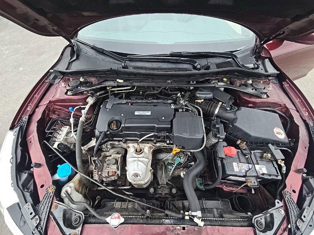 Used 2017 Honda Accord Sport Special Edition image 11