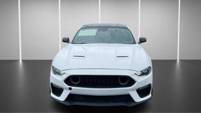 Used 2023 Ford Mustang GT Premium w/ Mustang Nite Pony Package RWD image 9