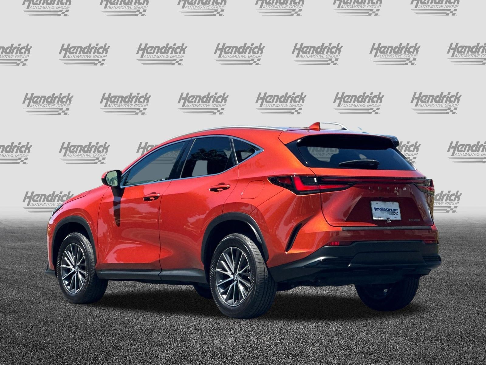 Certified 2024 Lexus NX 250 FWD image 7