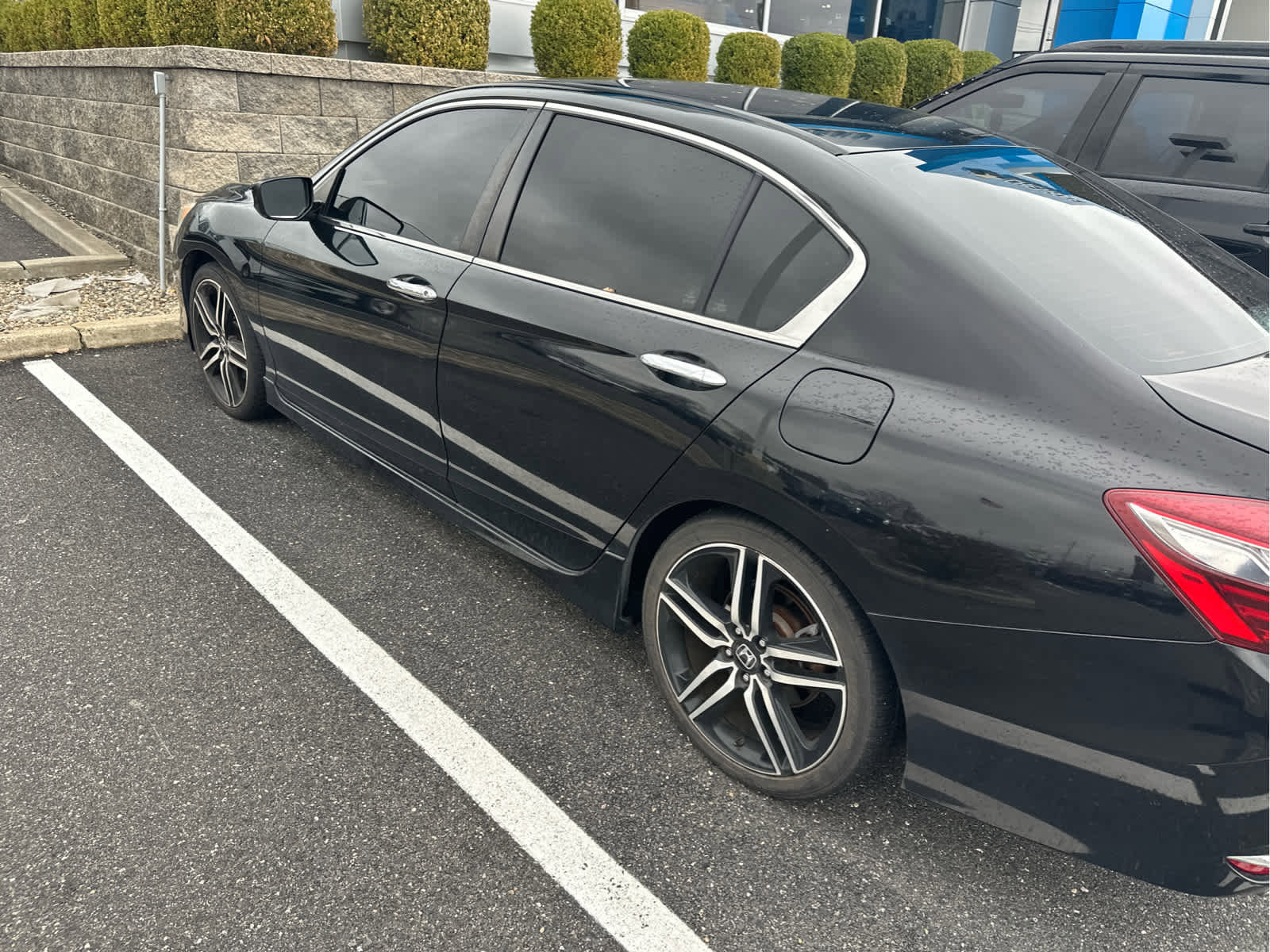 Used 2017 Honda Accord Sport image 5