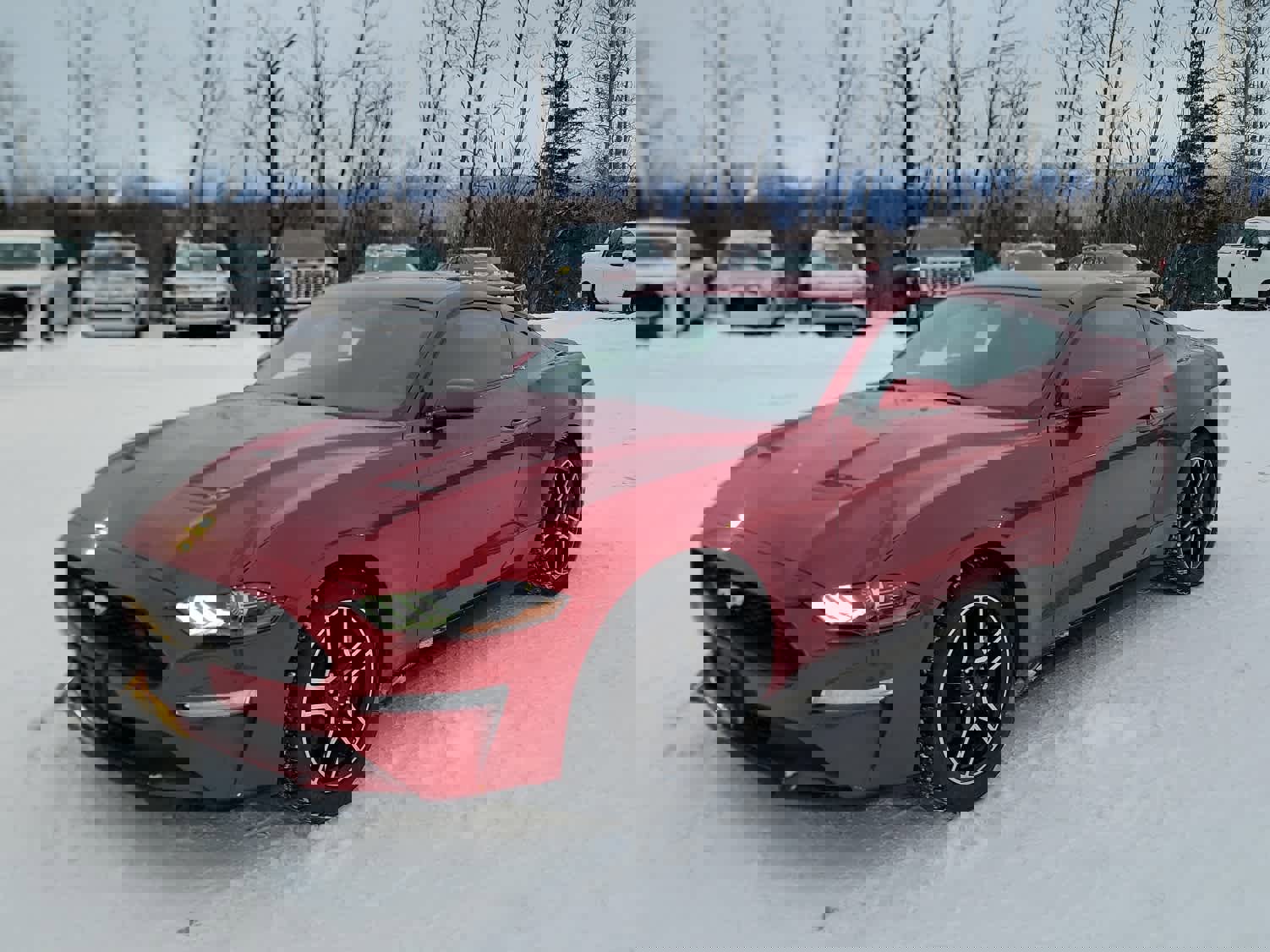 Used 2020 Ford Mustang Coupe w/ Equipment Group 101A image 1