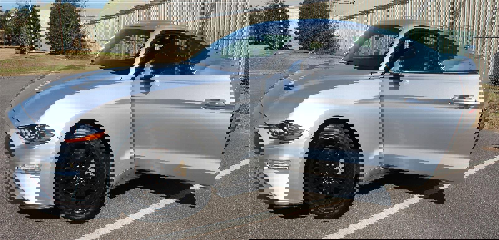 Used 2019 Ford Mustang Premium image 4