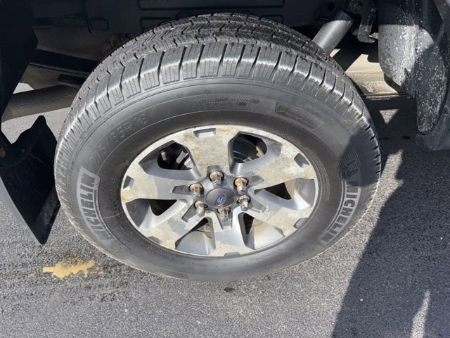 Used 2013 Ford F150 FX4 w/ Mid Equipment Group AWD/4WD image 4
