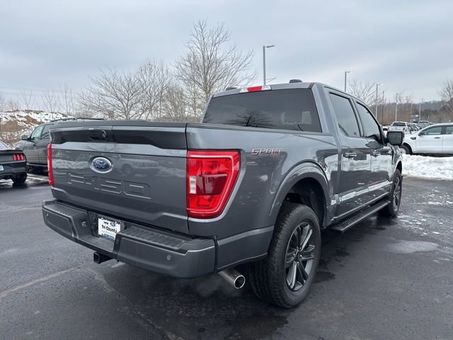 Used 2023 Ford F150 XLT w/ Equipment Group 302A High image 8