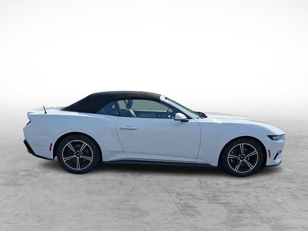 Used 2024 Ford Mustang Premium RWD image 6