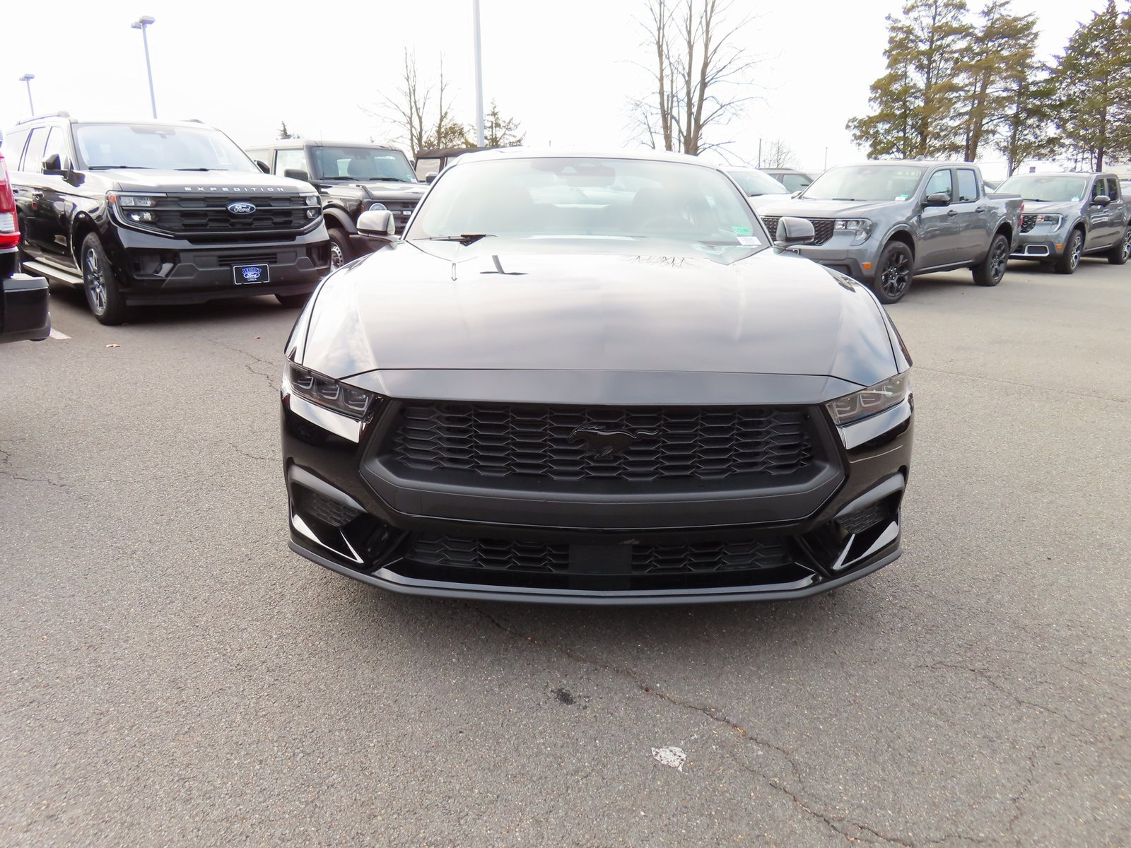 New 2026 Ford Mustang EcoBoost w/ Mustang Nite Pony Package image 2