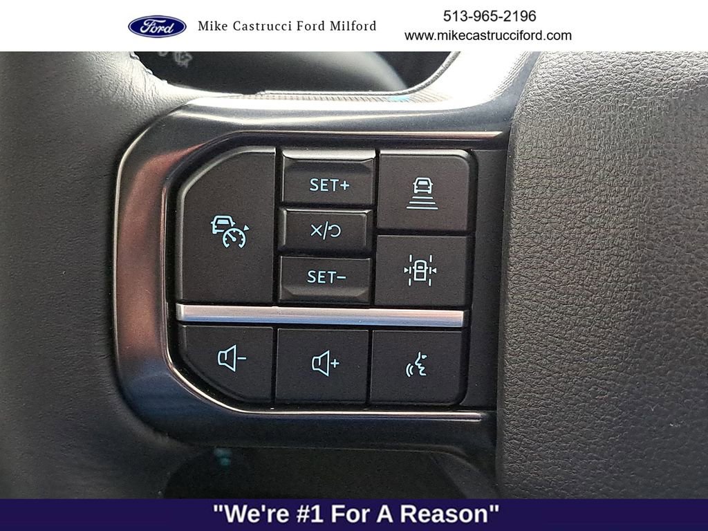 Used 2025 Ford F350 Platinum image 19