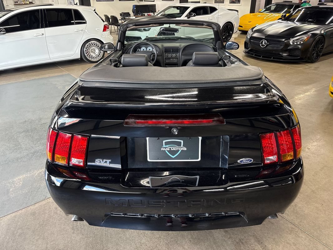Used 1999 Ford Mustang Cobra RWD image 10