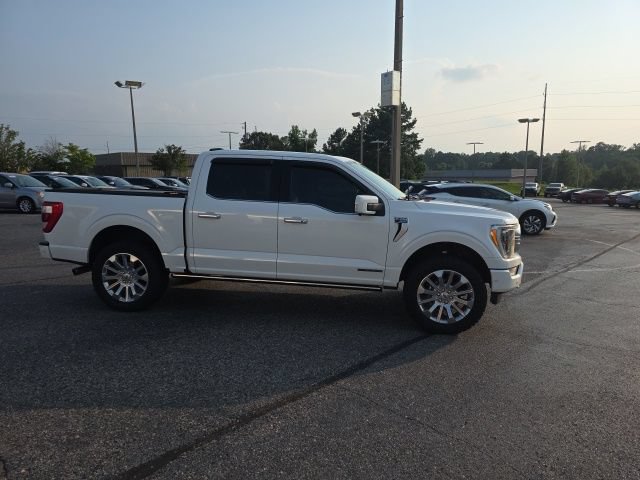 Used 2023 Ford F150 Limited AWD/4WD image 2