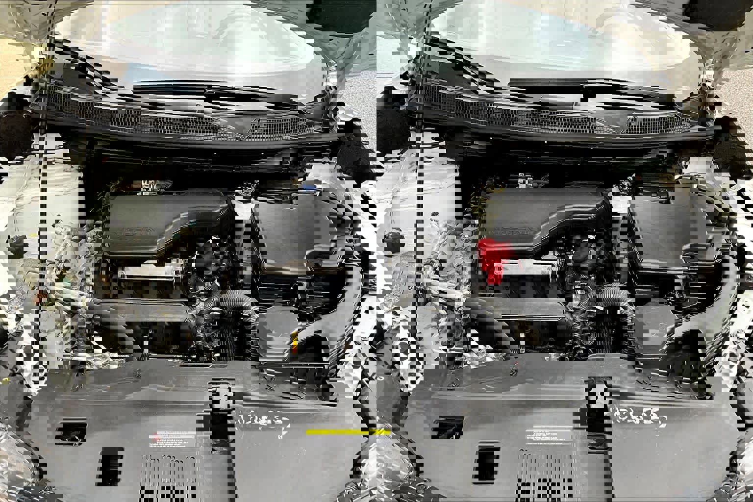 Used 2022 Nissan Rogue Sport SL w/ Premium Package image 30