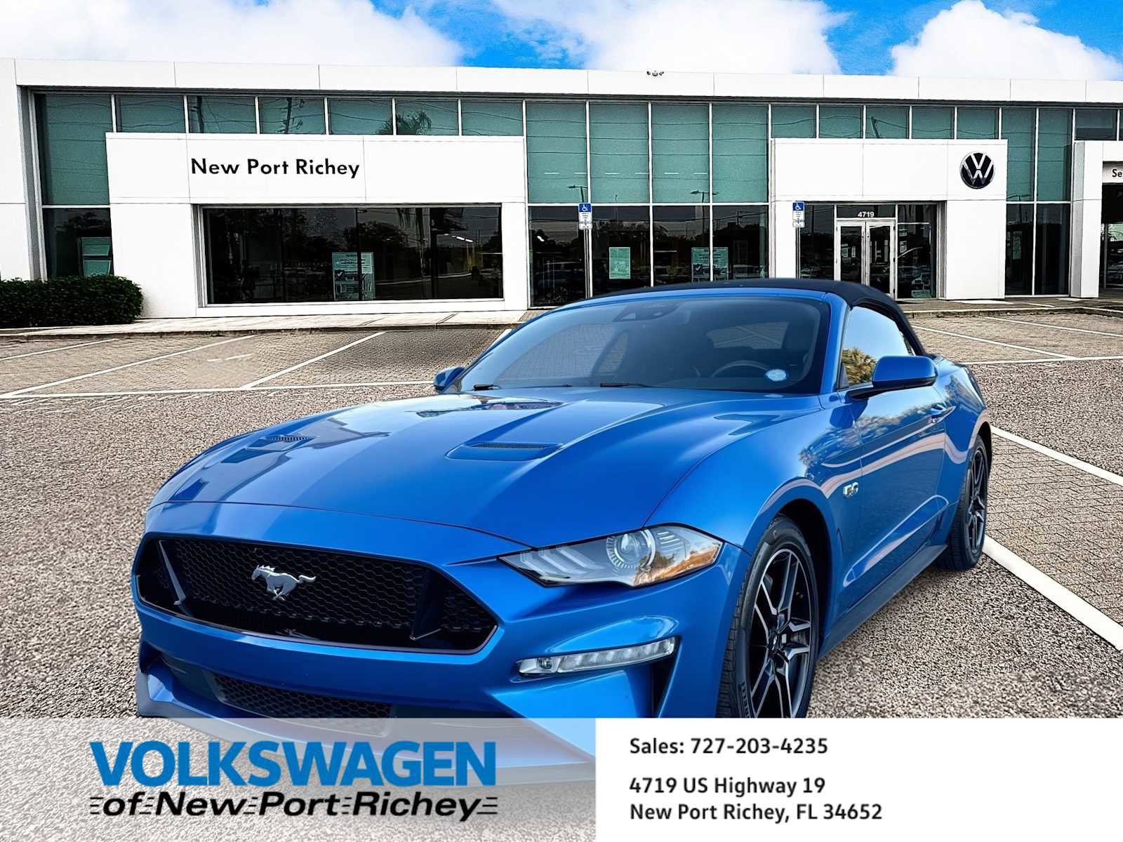 Used 2019 Ford Mustang GT Premium w/ Equipment Group 401A