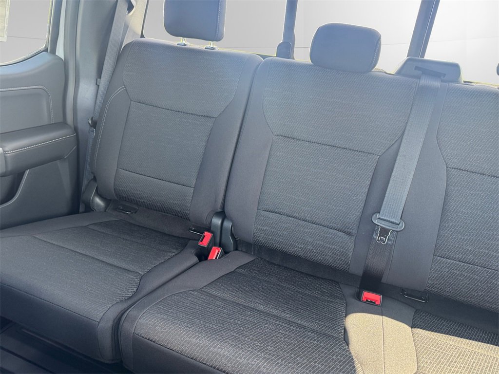 New 2025 Ford F150 XLT w/ Equipment Group 302A MID image 13