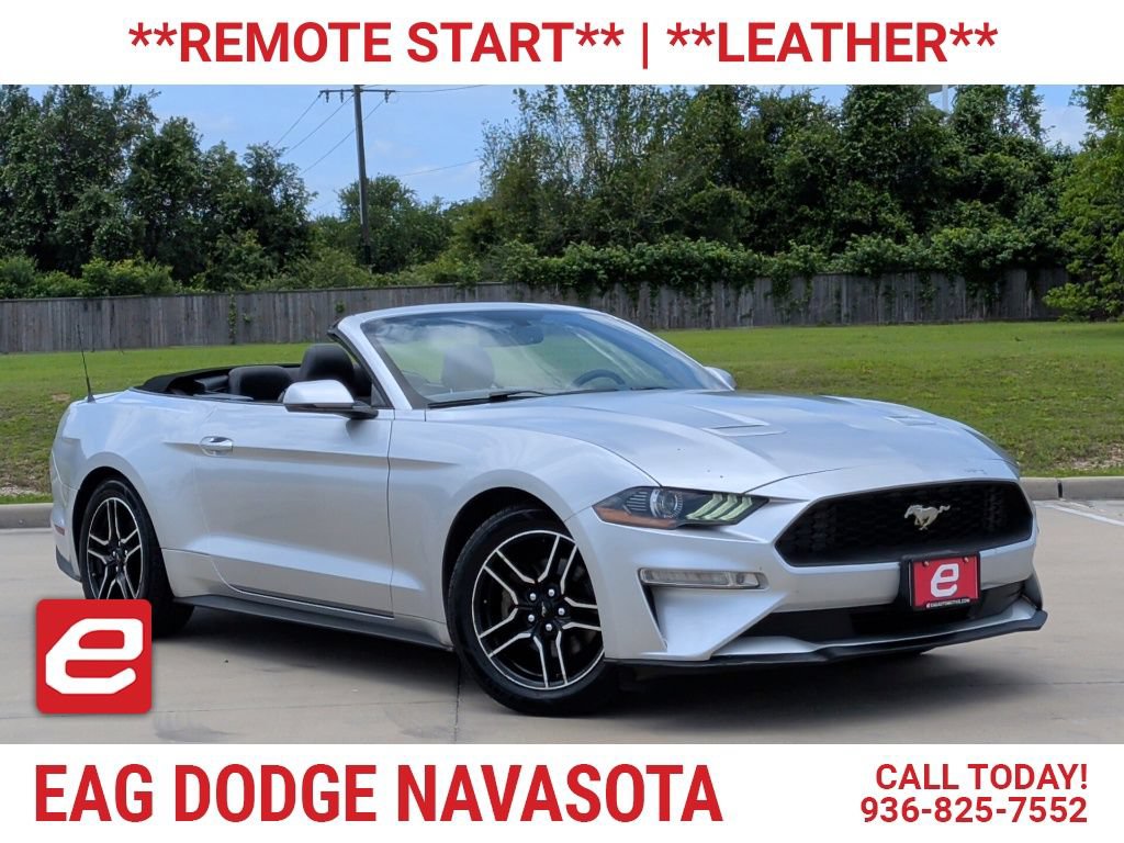 Used 2019 Ford Mustang Premium RWD image 1