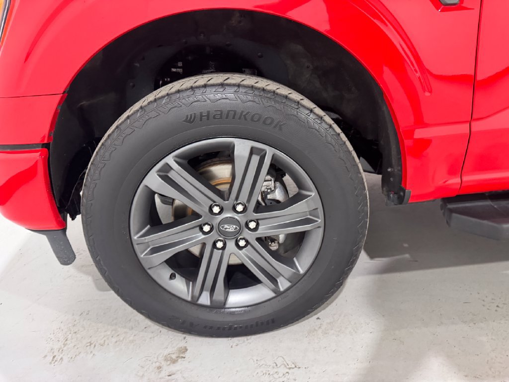 Used 2023 Ford F150 XLT w/ Equipment Group 302A High AWD/4WD image 9