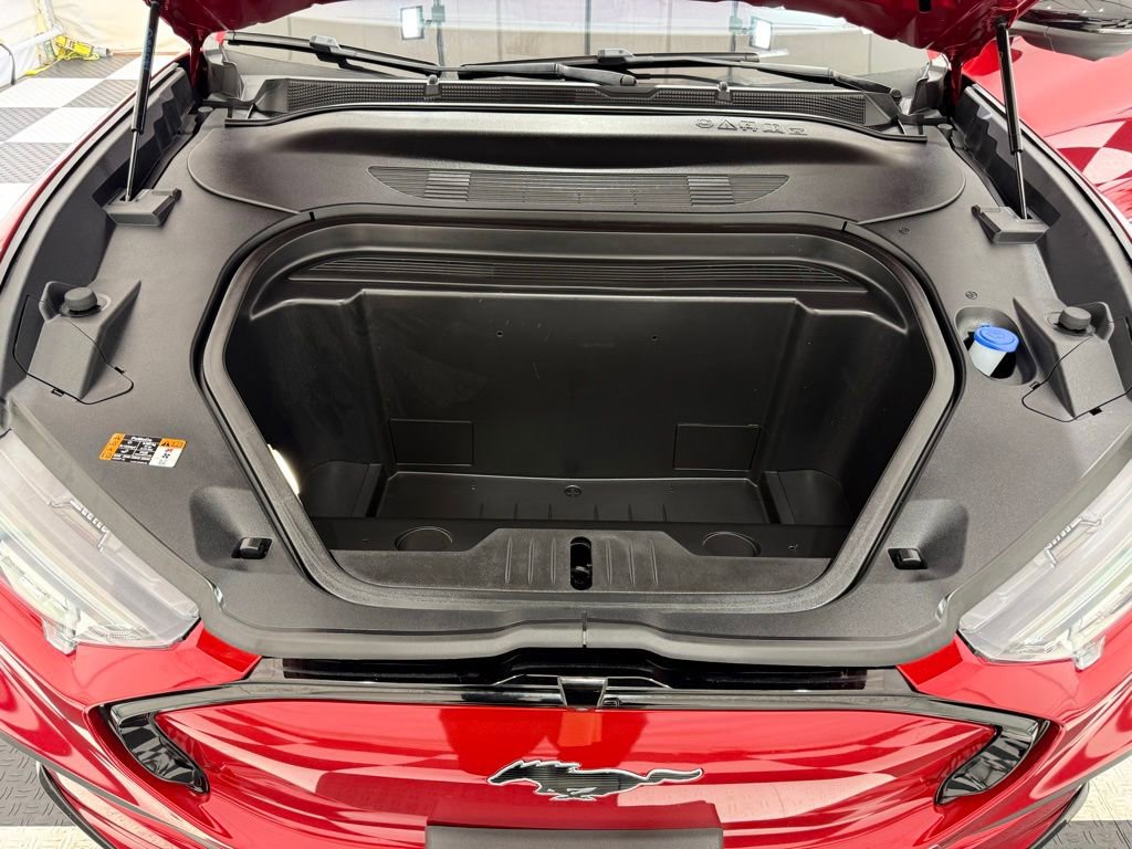 Used 2021 Ford Mustang Mach-E Premium RWD image 9